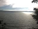 ./images/koeye/fitz-hugh/20210731/fitz-hugh20210731_180501.jpg