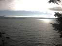 ./images/koeye/fitz-hugh/20210731/fitz-hugh20210731_181001.jpg