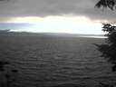 ./images/koeye/fitz-hugh/20210731/fitz-hugh20210731_184001.jpg