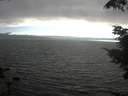 ./images/koeye/fitz-hugh/20210731/fitz-hugh20210731_184501.jpg