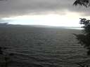 ./images/koeye/fitz-hugh/20210731/fitz-hugh20210731_185501.jpg