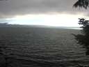 ./images/koeye/fitz-hugh/20210731/fitz-hugh20210731_190002.jpg