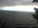 ./images/koeye/fitz-hugh/20210731/fitz-hugh20210731_190501.jpg