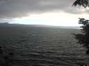 ./images/koeye/fitz-hugh/20210731/fitz-hugh20210731_191502.jpg
