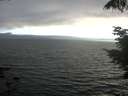 ./images/koeye/fitz-hugh/20210731/fitz-hugh20210731_194001.jpg