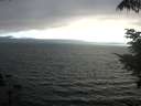 ./images/koeye/fitz-hugh/20210731/fitz-hugh20210731_194502.jpg