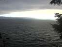 ./images/koeye/fitz-hugh/20210731/fitz-hugh20210731_195502.jpg