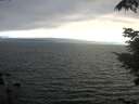 ./images/koeye/fitz-hugh/20210731/fitz-hugh20210731_200502.jpg