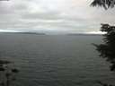 ./images/koeye/fitz-hugh/20210731/fitz-hugh20210731_205001.jpg