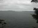 ./images/koeye/fitz-hugh/20210731/fitz-hugh20210731_212501.jpg