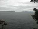./images/koeye/fitz-hugh/20210731/fitz-hugh20210731_213501.jpg
