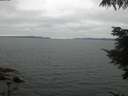 ./images/koeye/fitz-hugh/20210731/fitz-hugh20210731_214001.jpg