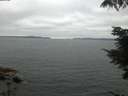 ./images/koeye/fitz-hugh/20210731/fitz-hugh20210731_214501.jpg