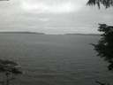 ./images/koeye/fitz-hugh/20210731/fitz-hugh20210731_220001.jpg