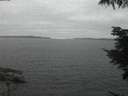 ./images/koeye/fitz-hugh/20210731/fitz-hugh20210731_220501.jpg