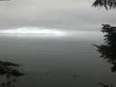 ./images/koeye/fitz-hugh/20210801/fitz-hugh20210801_080002.jpg