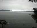 ./images/koeye/fitz-hugh/20210802/fitz-hugh20210802_100002.jpg