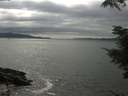 ./images/koeye/fitz-hugh/20210802/fitz-hugh20210802_160001.jpg