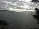 ./images/koeye/fitz-hugh/20210802/fitz-hugh20210802_180002.jpg