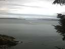 ./images/koeye/fitz-hugh/20210803/fitz-hugh20210803_060002.jpg