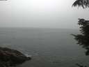 ./images/koeye/fitz-hugh/20210804/fitz-hugh20210804_060001.jpg