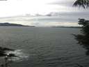 ./images/koeye/fitz-hugh/20210804/fitz-hugh20210804_140002.jpg