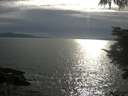./images/koeye/fitz-hugh/20210804/fitz-hugh20210804_180001.jpg