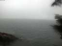 ./images/koeye/fitz-hugh/20210805/fitz-hugh20210805_060001.jpg
