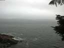 ./images/koeye/fitz-hugh/20210805/fitz-hugh20210805_080002.jpg