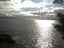 ./images/koeye/fitz-hugh/20210805/fitz-hugh20210805_180001.jpg