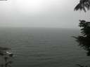 ./images/koeye/fitz-hugh/20210807/fitz-hugh20210807_120001.jpg