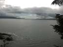 ./images/koeye/fitz-hugh/20210807/fitz-hugh20210807_160002.jpg