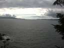./images/koeye/fitz-hugh/20210808/fitz-hugh20210808_160002.jpg