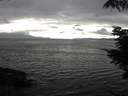 ./images/koeye/fitz-hugh/20210808/fitz-hugh20210808_180001.jpg
