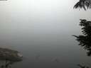 ./images/koeye/fitz-hugh/20210810/fitz-hugh20210810_060001.jpg
