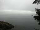 ./images/koeye/fitz-hugh/20210810/fitz-hugh20210810_080002.jpg