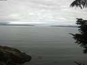./images/koeye/fitz-hugh/20210810/fitz-hugh20210810_100002.jpg
