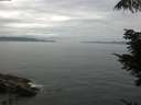 ./images/koeye/fitz-hugh/20210810/fitz-hugh20210810_120001.jpg