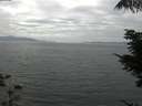 ./images/koeye/fitz-hugh/20210810/fitz-hugh20210810_140002.jpg