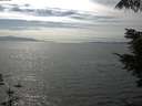 ./images/koeye/fitz-hugh/20210810/fitz-hugh20210810_160002.jpg