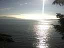 ./images/koeye/fitz-hugh/20210810/fitz-hugh20210810_180001.jpg
