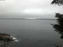 ./images/koeye/fitz-hugh/20210811/fitz-hugh20210811_060001.jpg