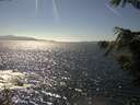 ./images/koeye/fitz-hugh/20210811/fitz-hugh20210811_160002.jpg