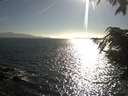 ./images/koeye/fitz-hugh/20210811/fitz-hugh20210811_180001.jpg
