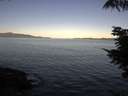 ./images/koeye/fitz-hugh/20210812/fitz-hugh20210812_080001.jpg