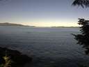 ./images/koeye/fitz-hugh/20210812/fitz-hugh20210812_100002.jpg