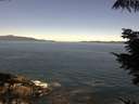 ./images/koeye/fitz-hugh/20210812/fitz-hugh20210812_120001.jpg