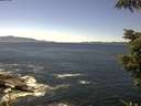 ./images/koeye/fitz-hugh/20210812/fitz-hugh20210812_140001.jpg