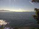 ./images/koeye/fitz-hugh/20210812/fitz-hugh20210812_160002.jpg