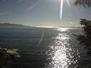 ./images/koeye/fitz-hugh/20210812/fitz-hugh20210812_180001.jpg